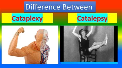 catalepsy vs cataplexy.